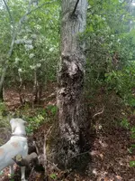 20240524_160501.webp