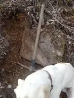 20240330_164841.webp