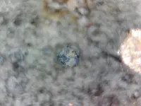 Earth.webp