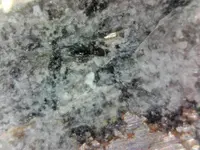 Filled Fracture.webp