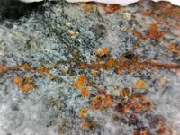 Fractures.webp