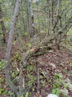 20241001_153015.webp