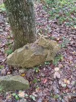 20241001_153547.webp
