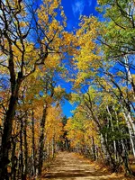 20241003_110640.webp