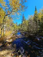 20241003_114527.webp
