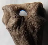 HoledBone-9-ExtremeCloseup14VNice.webp HoledBone-9-ExtremeCloseup14VNice.webp