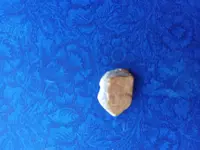 20241007_062532.webp