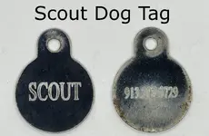 Dog Tag Gimp.webp