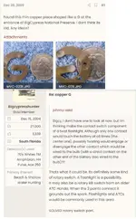 copperG.webp