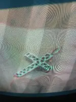IMG_20241003_013405.webp