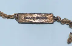 Bracelet.webp