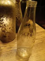 IMG_20241020_194807.webp
