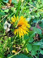 IMG_20241020_141651.webp