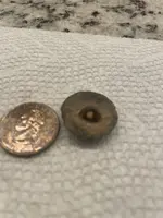 IMG_1699.webp