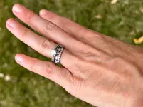 Ring Gimp.webp