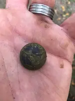 Just dug NY button.webp