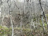  Farm foundation 2.webp