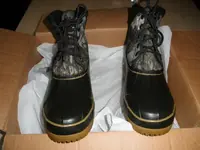 PB070010.webp