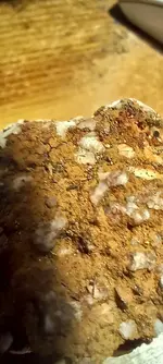 20241113_091236.webp