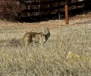 20241114_123325.webp