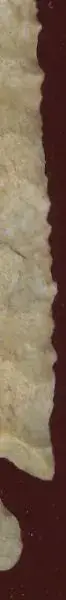 Still2.webp