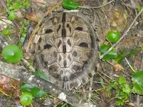 DSCN0132.webp