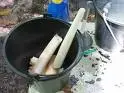 heart of palm.webp