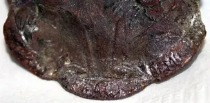 IMG_7425.webp IMG_7425.webp