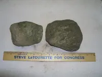 magnetic rock--2 look alikes 031.webp