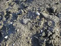 Goldcamp Pics 14.webp