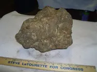 magnetic rock--2 look alikes 022.webp