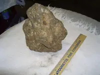 magnetic rock--2 look alikes 023.webp