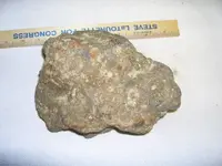 magnetic rock--2 look alikes 017.webp