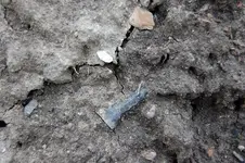 Fuert Site (66).webp