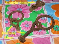 hitching rings.webp