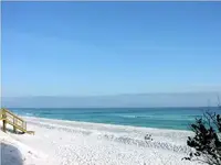 Flordia1.webp