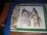 th_morewadlows006.webp