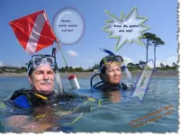 Snagit 8 image.webp