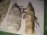 th_morewadlows007.webp