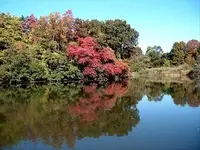 newburgh colors.webp