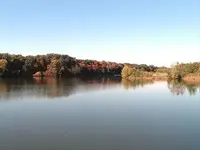 newburgh colors #4.webp