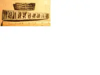 reeds.webp