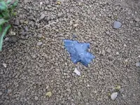 Picture 743.webp