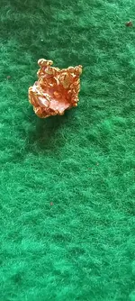 20241130_113151.webp