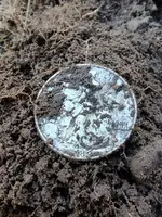 Finds half in situ.webp