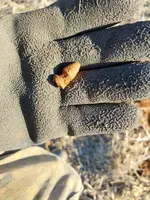 20241206_092619.webp