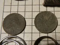 DSCN3691.webp
