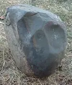 DSCF1103.webp