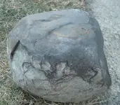 DSCF1104.webp
