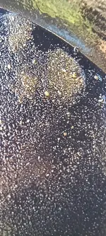 20241209_150649.webp